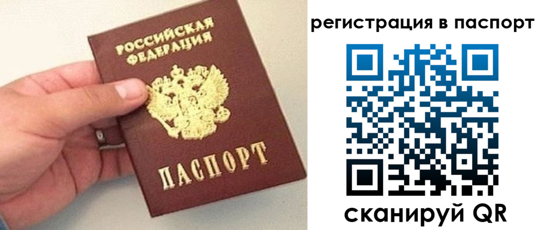 прописка законно в Копейске